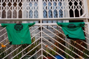 primavera-verde-300x199